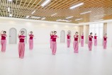 舞蹈室(16)