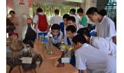 2013年红五月 (4)