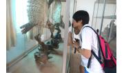 2014第七届红五月艺术节生物科普展示