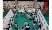 2015迷人书画展