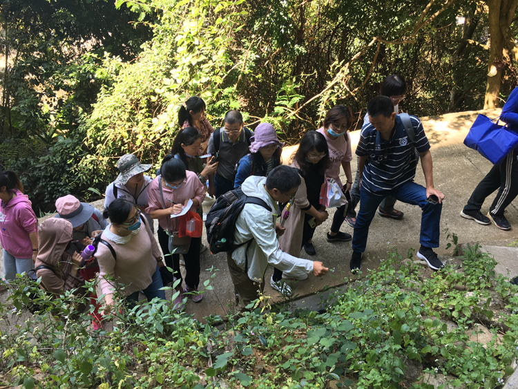 6 学习小组合作辨认野生植物.jpg