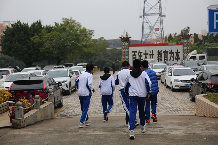 5小分队奔向萝卜地.jpg