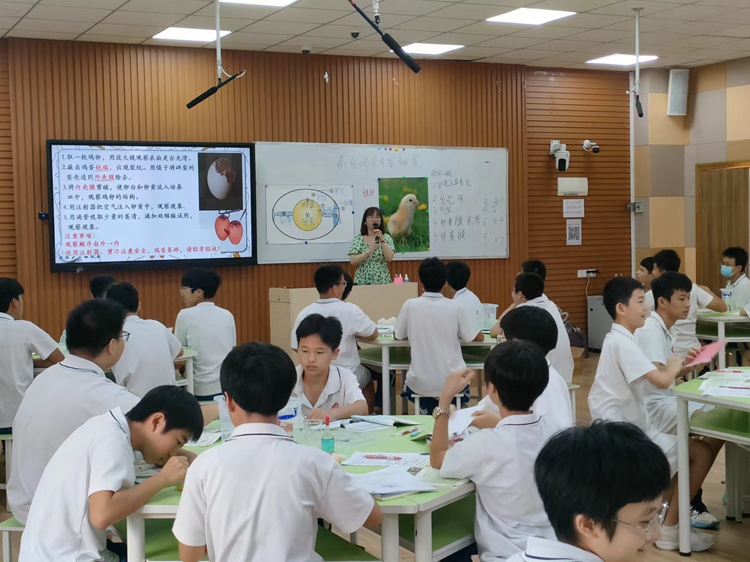 图二.jpg