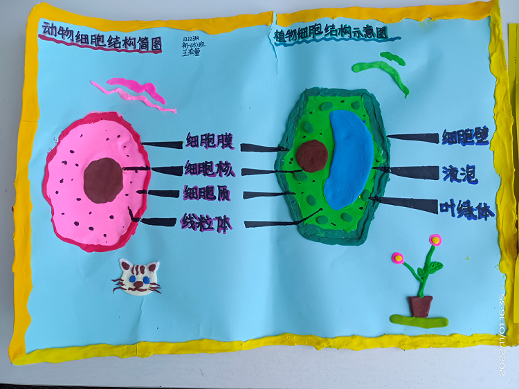 初一23班王有萱.png