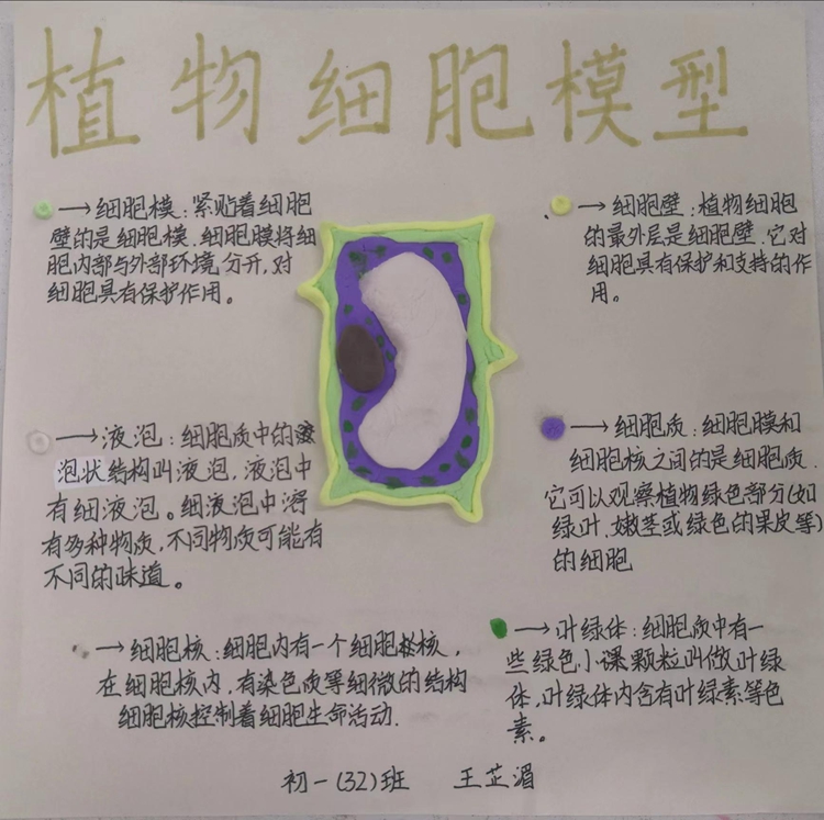 初一32班王芷湄.jpeg