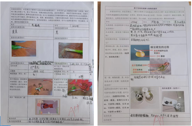 ⑩档案袋.png