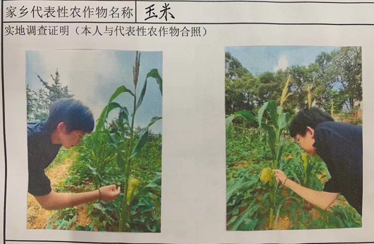 玉米生长环境调研.jpg