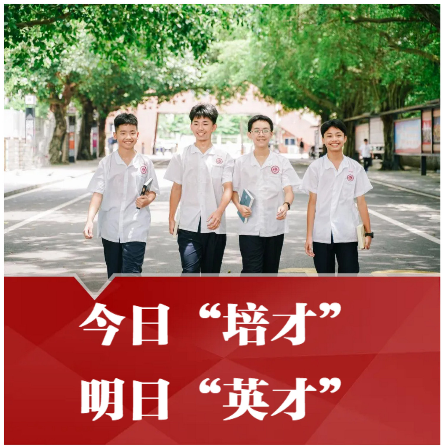 湛江市寸金培才学校2024年秋季小学一年级、初中一年级招生简章1.jpg