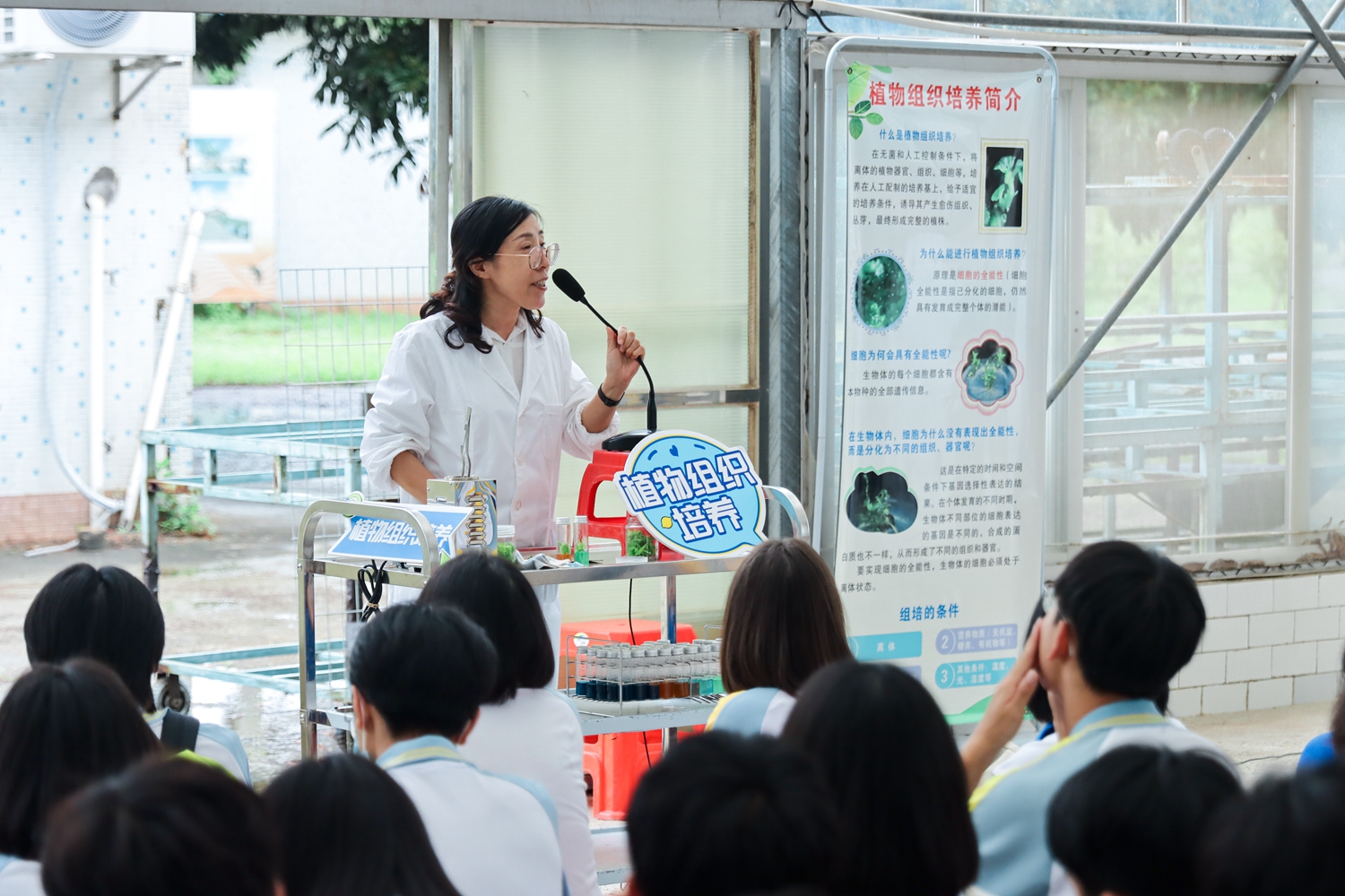 11.植物组织培养知识讲解.jpg