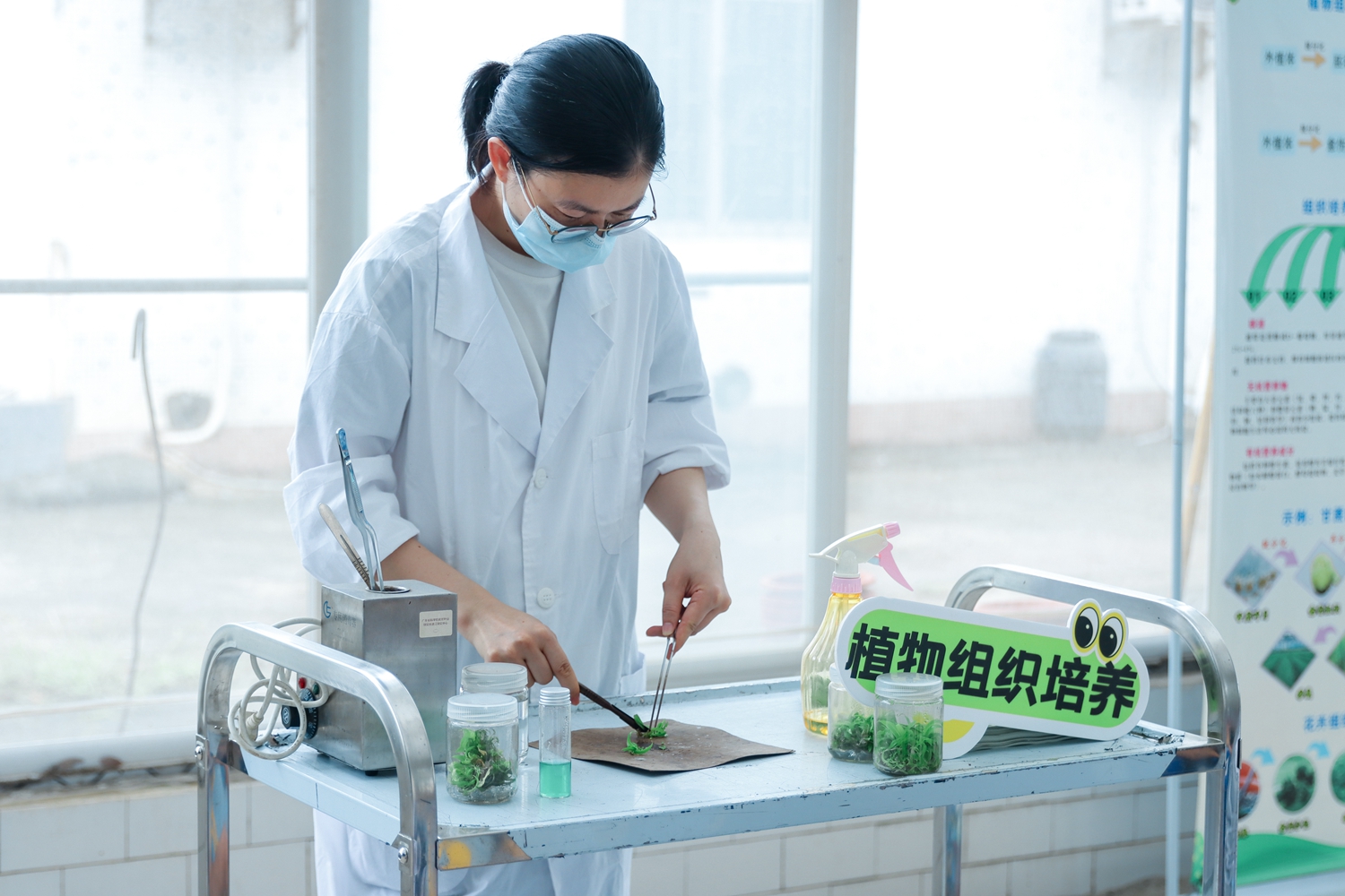 12.操作示范.jpg