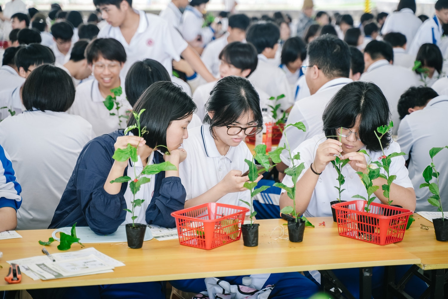图6：互动探究，趣味满分.JPG