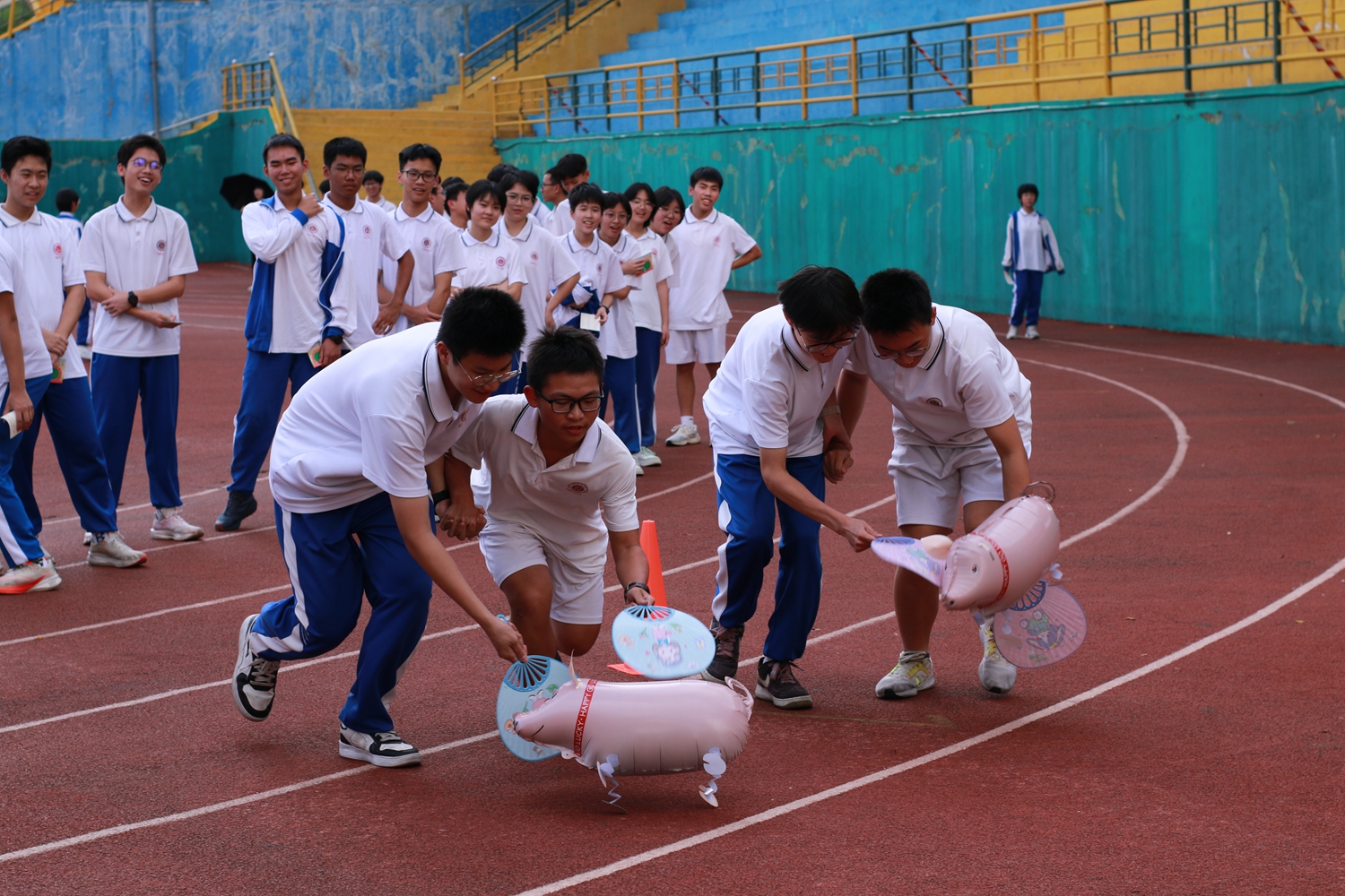图片2：扇猪运动.JPG