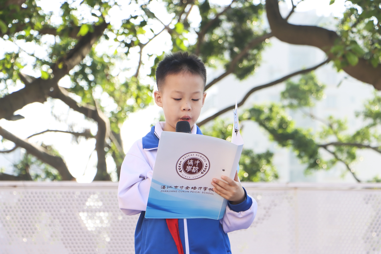 1762761571123378.jpg 图片15.jpg