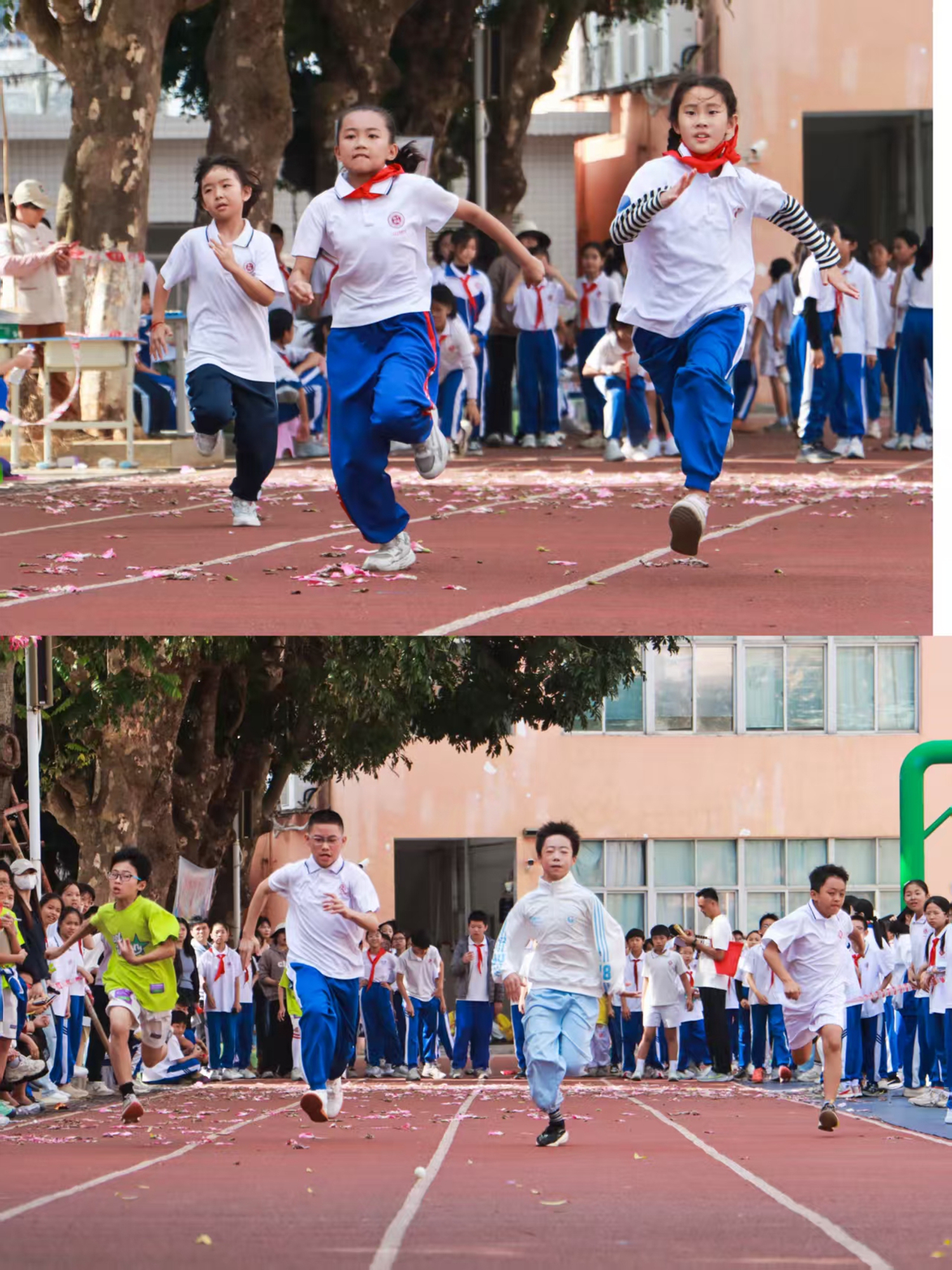 1765847873457549.jpg 16 小学部比赛剪影4.jpg