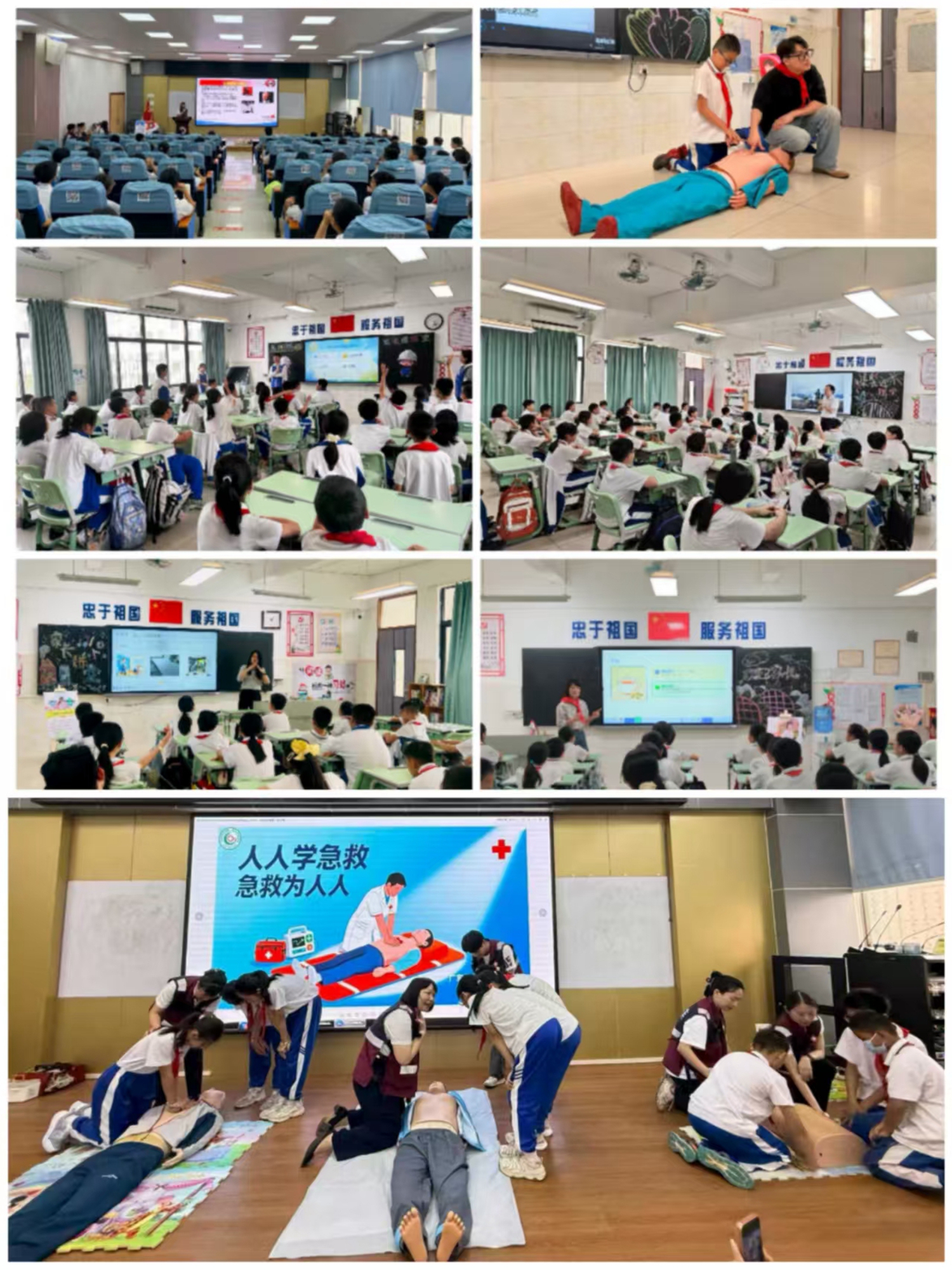 1776045776137571.jpg 16.jpg