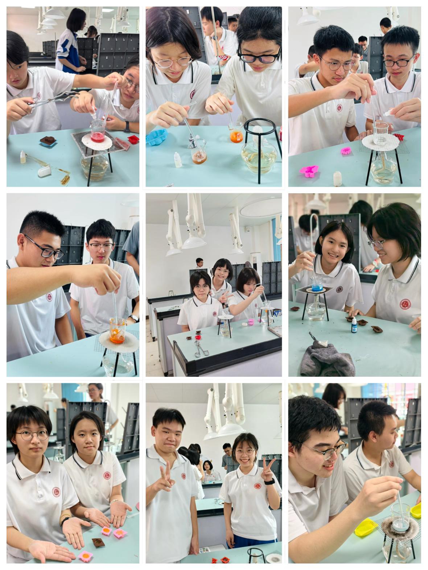 1779098762512783.jpg 微信图片_20260518165530_9_282.jpg